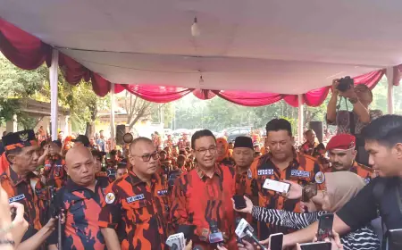 Berita Politik Terkini: Soliditas Kabinet dan Bursa Pilgub Jakarta