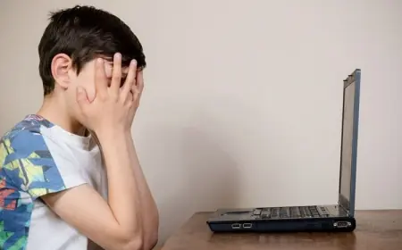 Wakil Ketua MPR Minta Kementerian PPPA Fokus Atasi Pornografi Anak