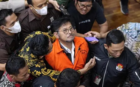 Rp 30 Juta/Bulan Buat Istri!? SYL Yakin Resmi